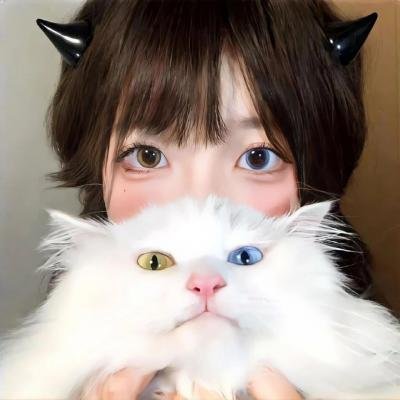 哈里根先生的手机